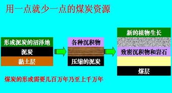 第一节 自然资源的基本特征 教学设计